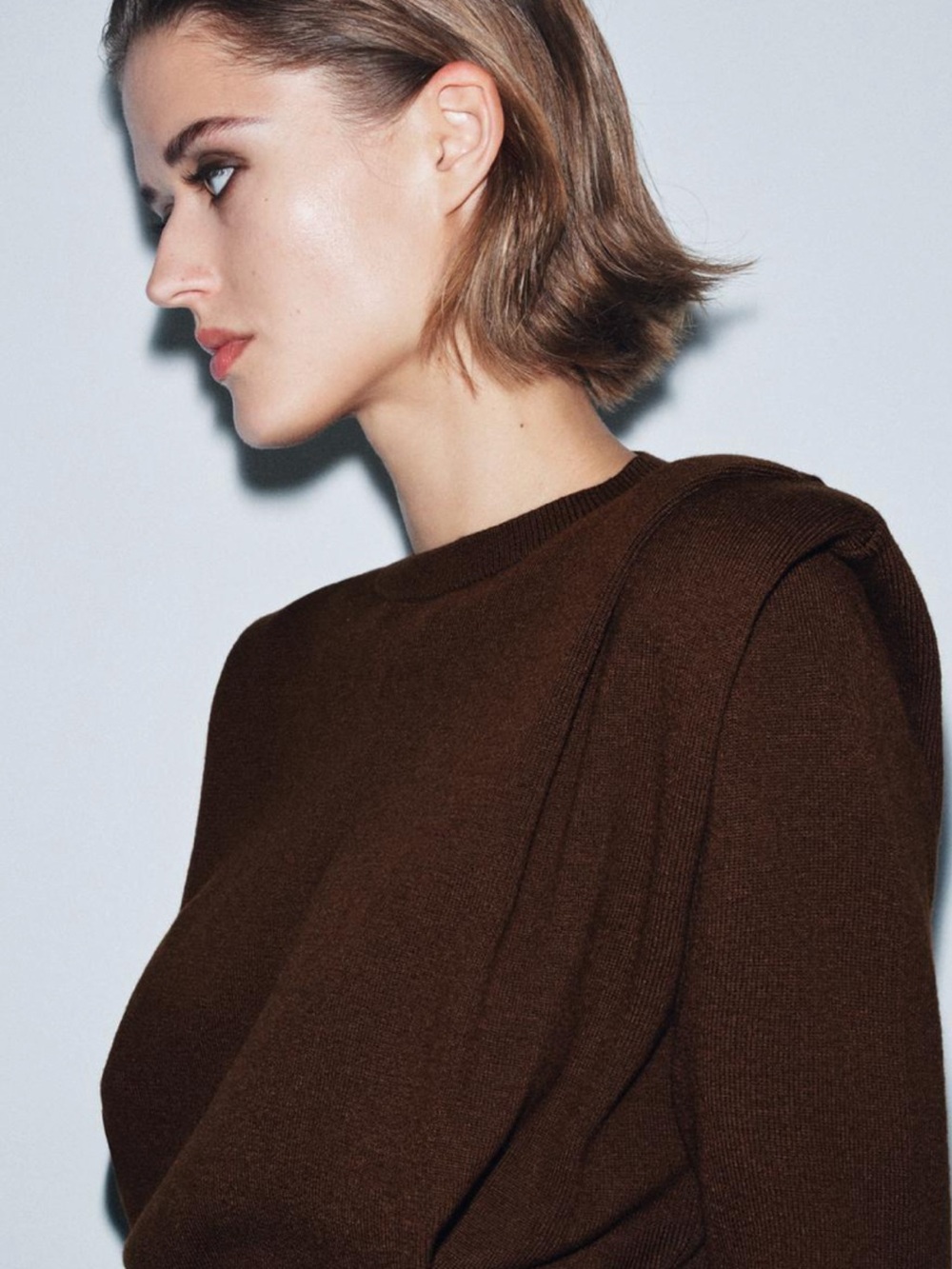 Women's Brown Crewneck Knit Top